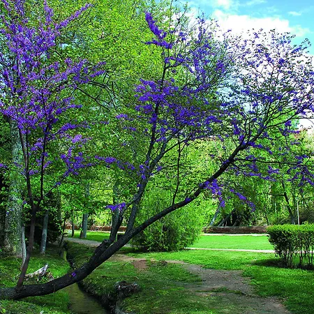 Balneario Sicilia Jaraba