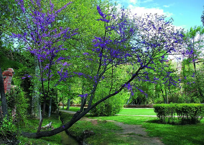 Balneario Sicilia Jaraba