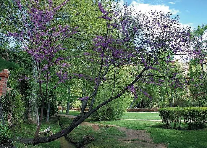Hotel Balneario Sicilia Jaraba